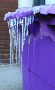 Icicles on dust bin, Liverpool, November 2010