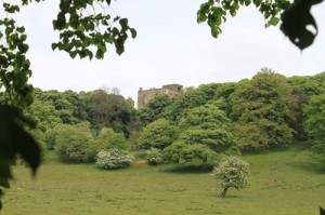 Hardwick Old Hall photographed from hedge beside The Hardwick Inn