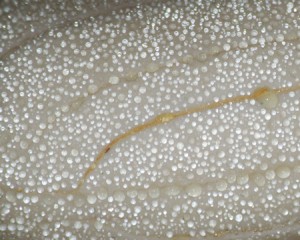 Close up of water drops on bar of soap