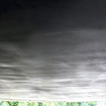 Serpentine Pavilion 2012 roof surface from inside