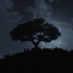 Night Tree: