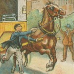 How to Stop a Runaway Horse Illustration
